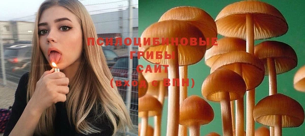МДПВ Алексин